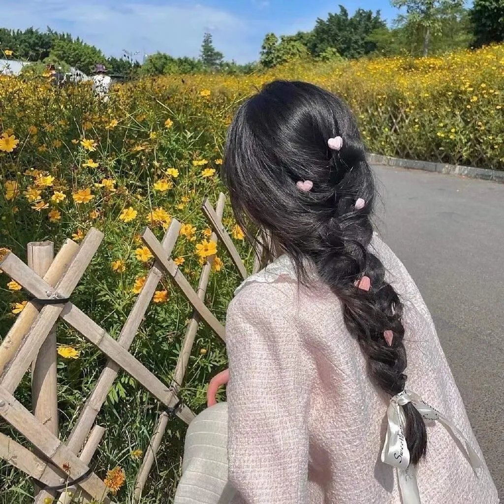 公主请回家